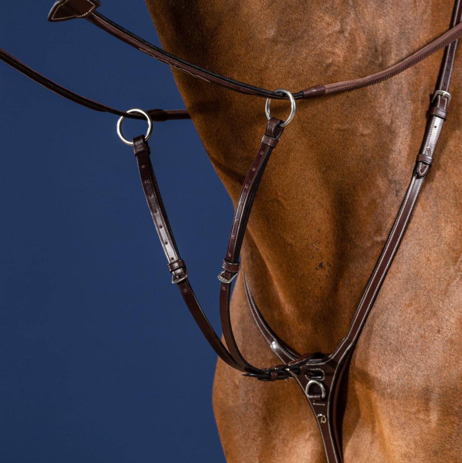 Dyon Schuifringmartingaal Bevestiging US Jumping Collection