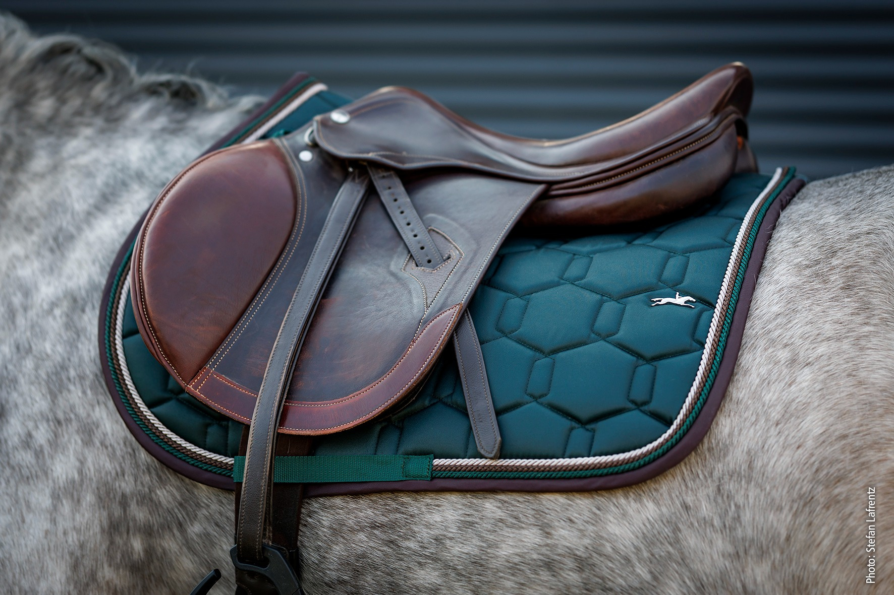 Schockemöhle FW26 Zadeldekje Eco Comfort Style