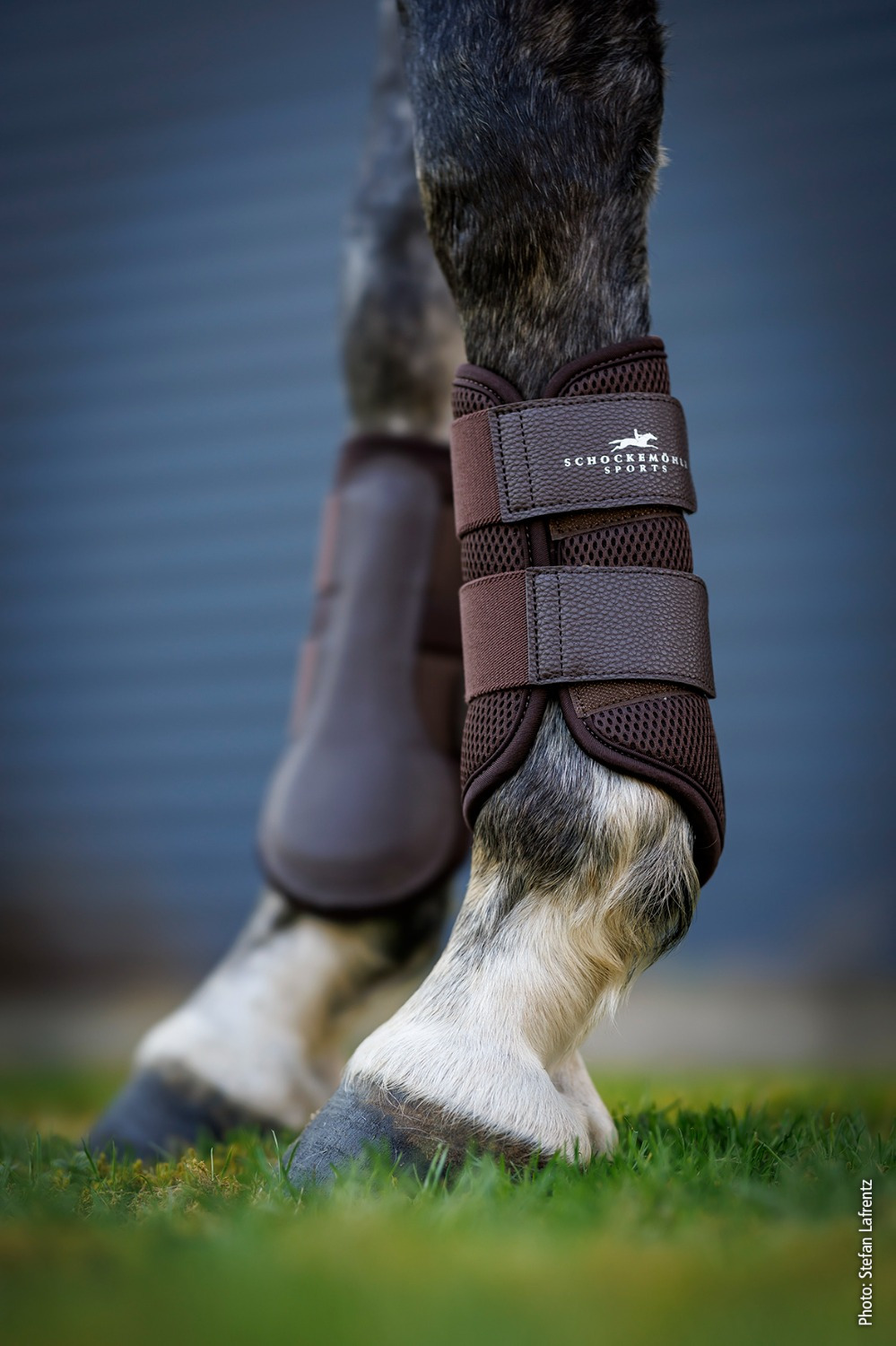 Schockemöhle FW26 Beenbeschermers Mesh Style