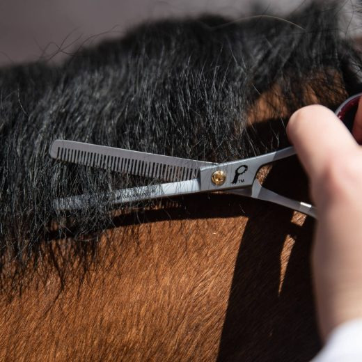 Smart Grooming Thinning Scissors 15cm