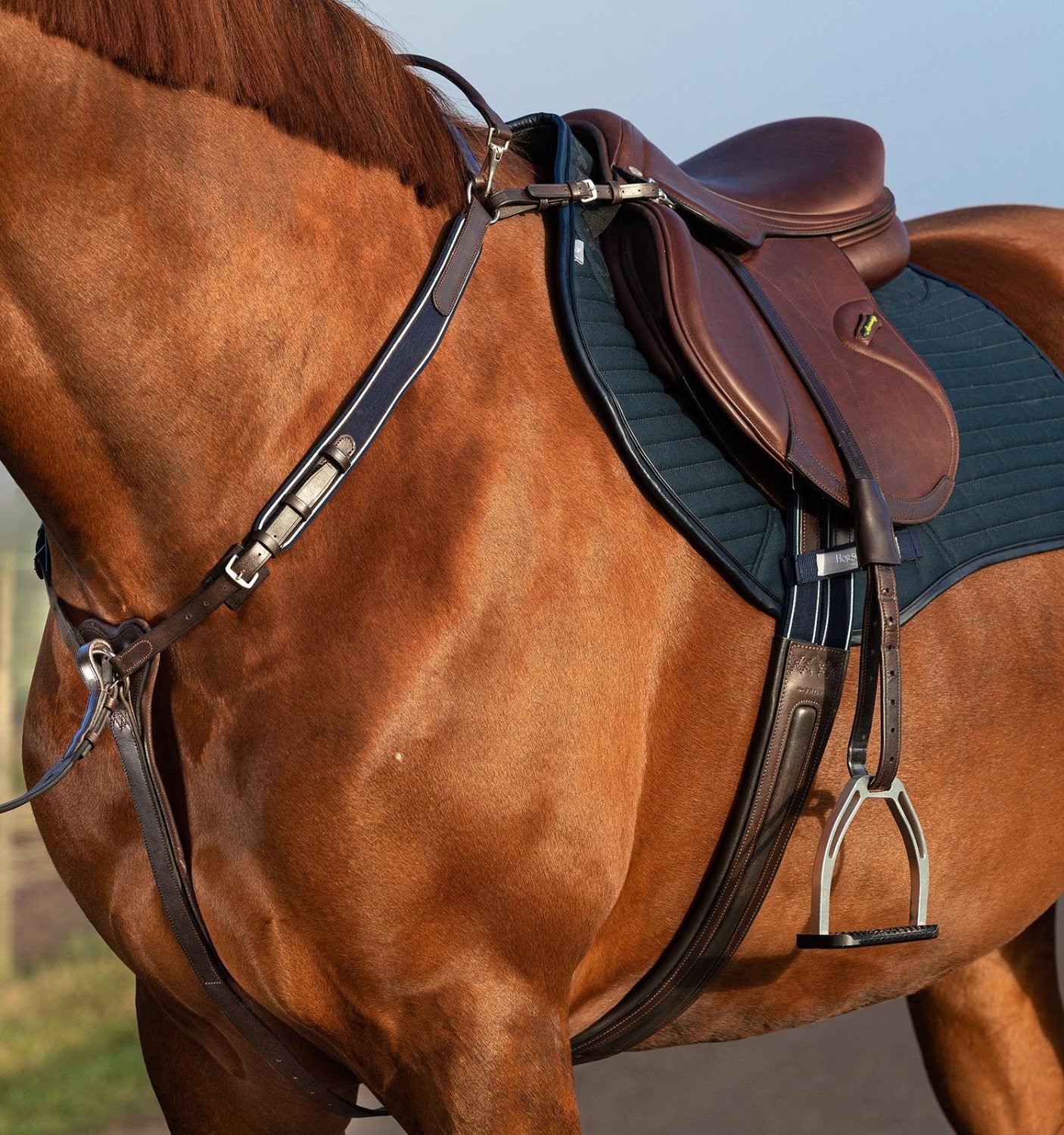 Horseware Micklem Breastplate with Martingale