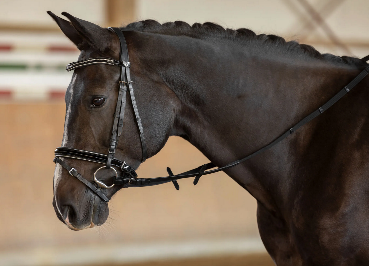 Covalliero Web Reins