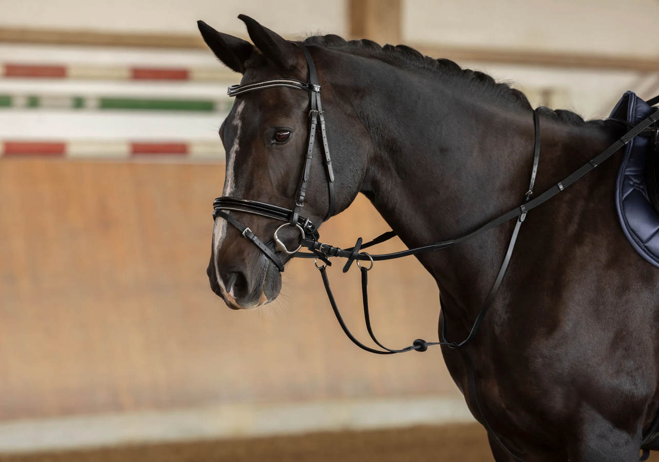 Covalliero Martingale