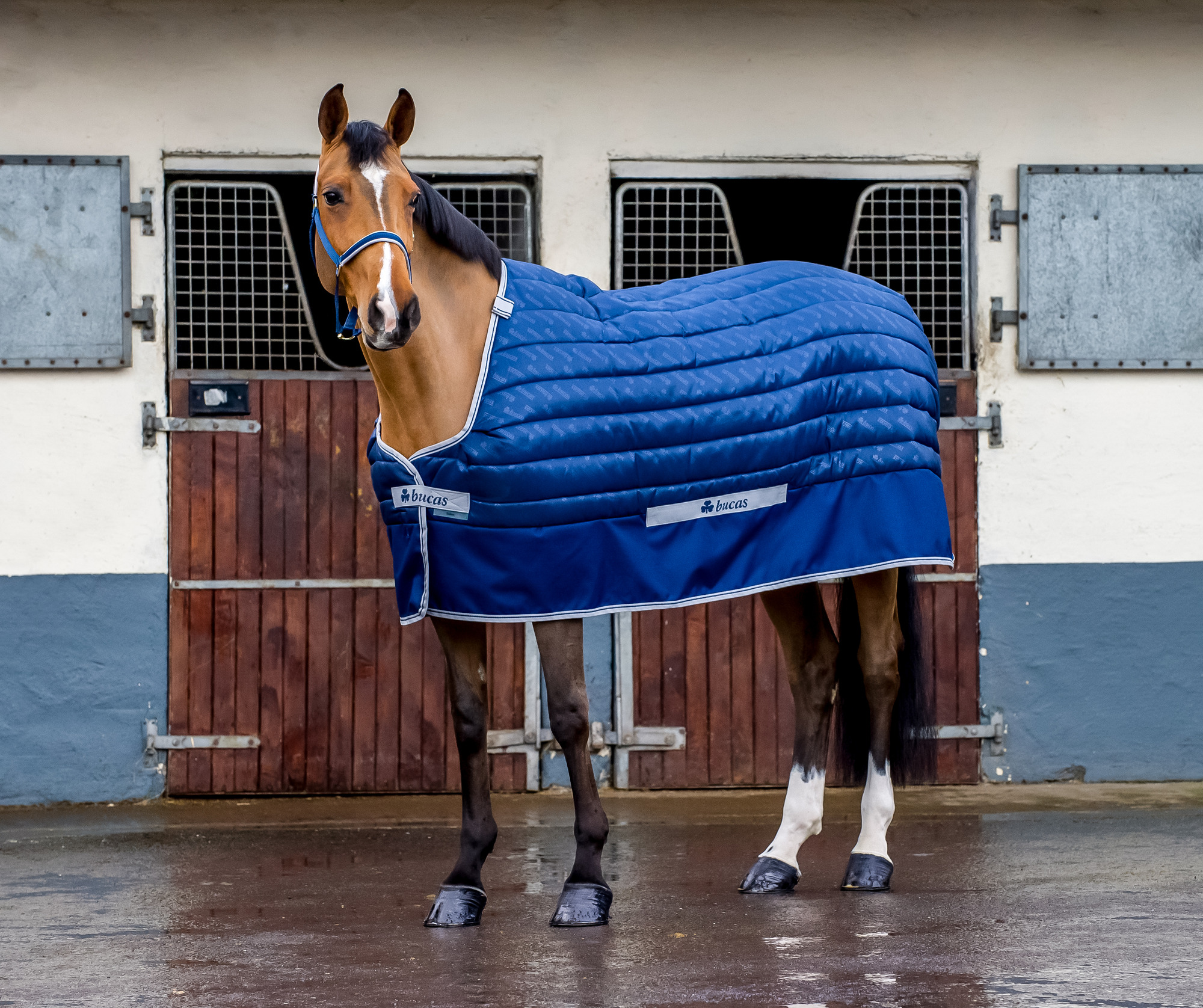 Bucas Select Quilt Stay-Dry Stable / Under Rug