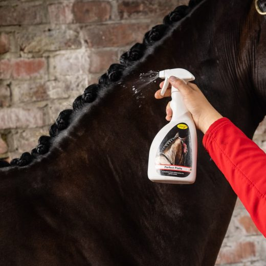 Smart Grooming Perfect Braiding Spray