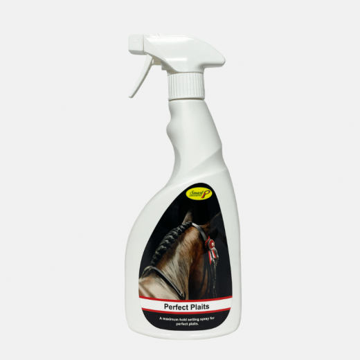 Smart Grooming Perfect Braiding Spray