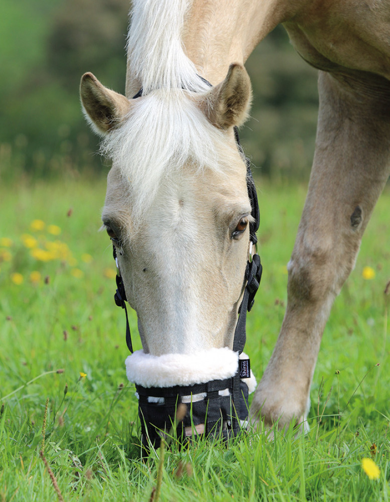 Shires Deluxe Grazing Muzzle