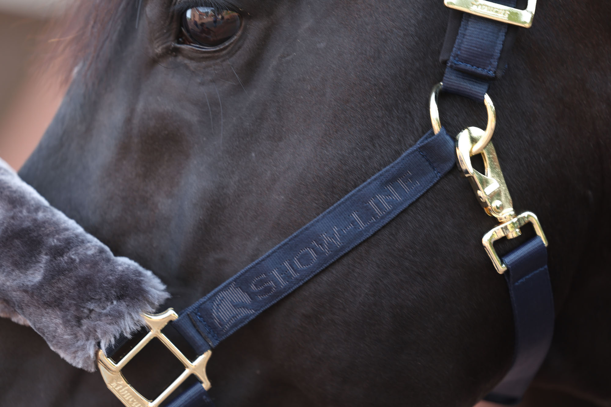 Bucas Show-Line Half-Fur Halster