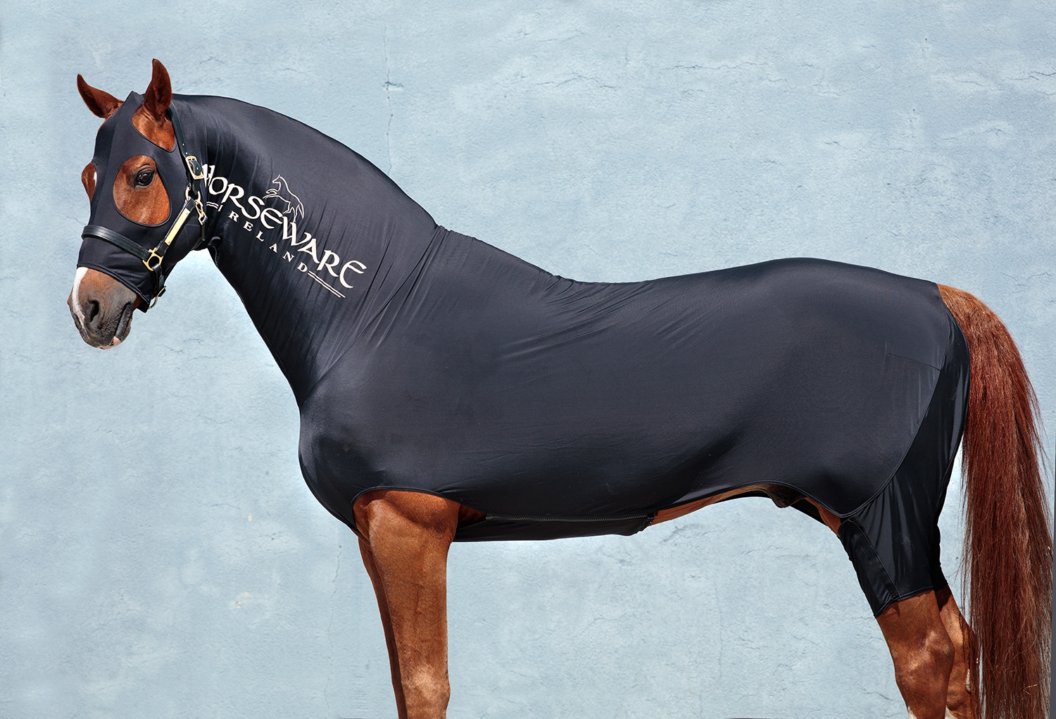 Rambo Slinky full body