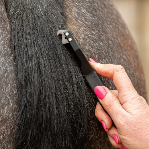 Smart Grooming Smart Tails