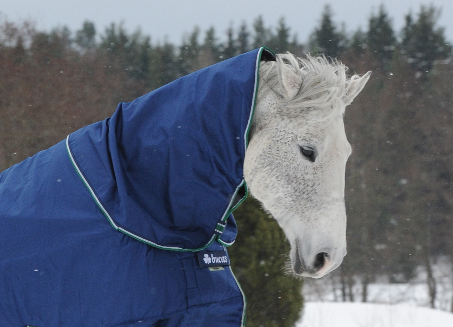 Bucas Smartex Combi Neck Blauw
