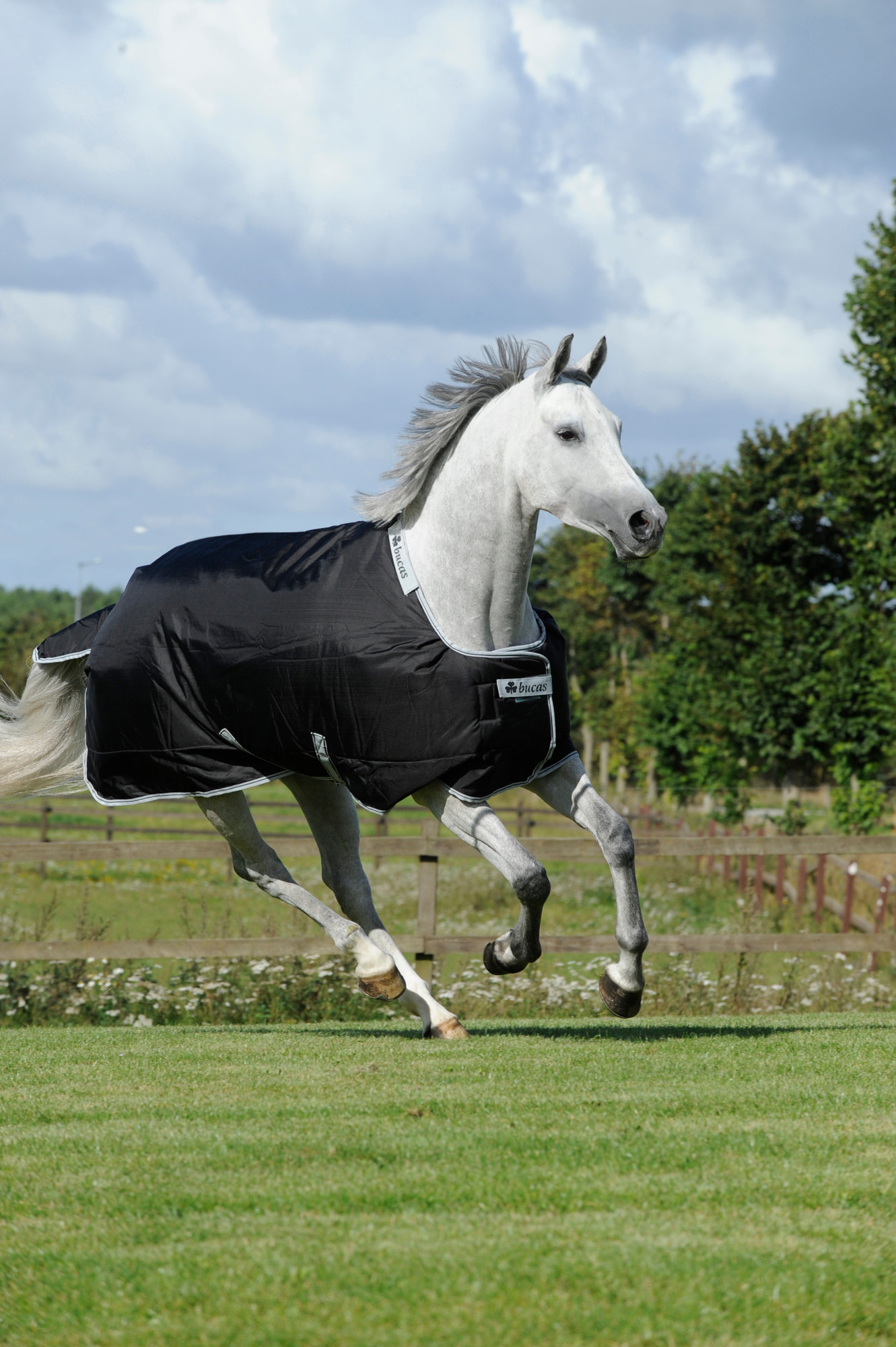 Bucas Smartex Rain Black