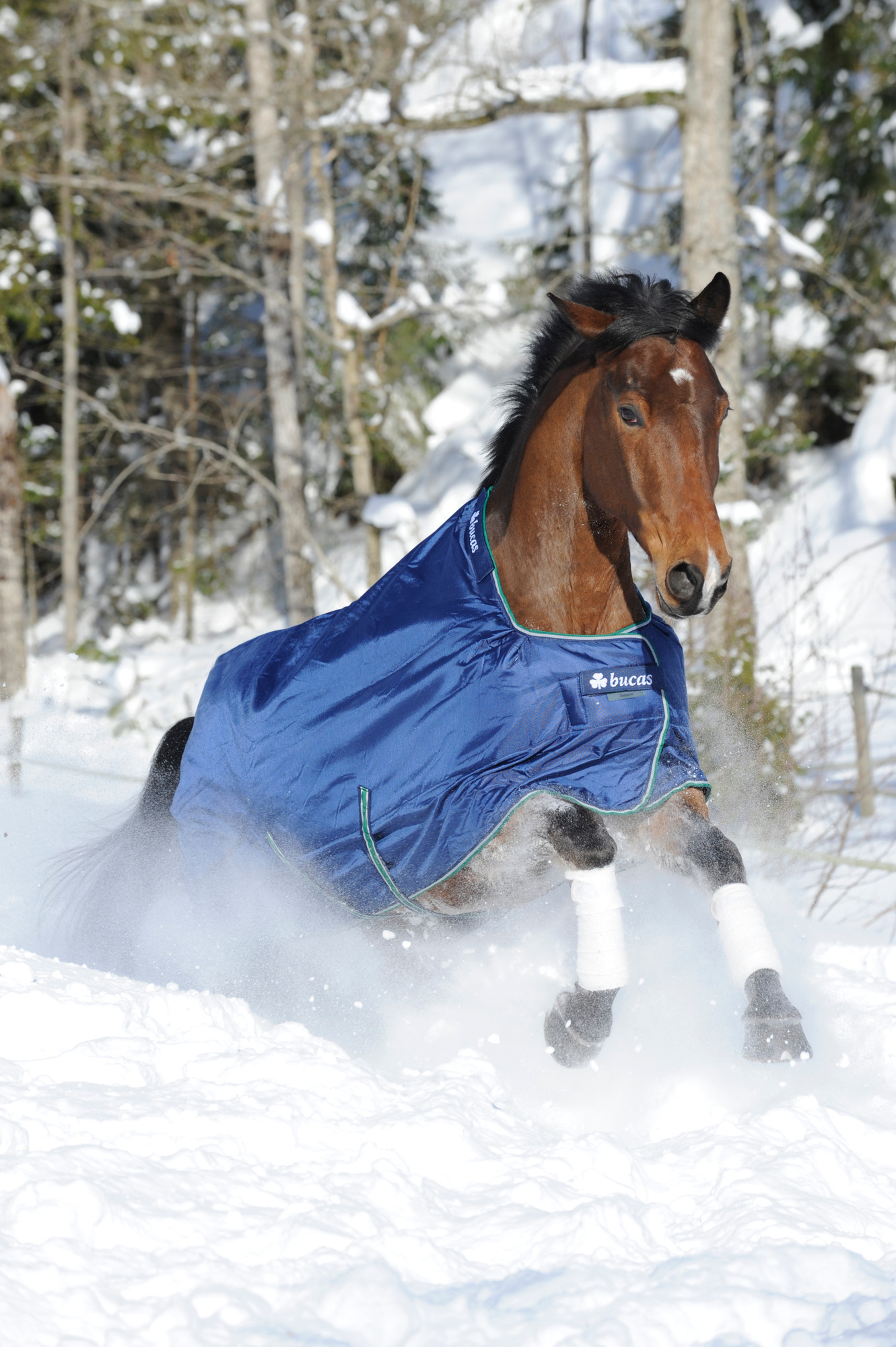 Bucas Smartex Extra Blauw