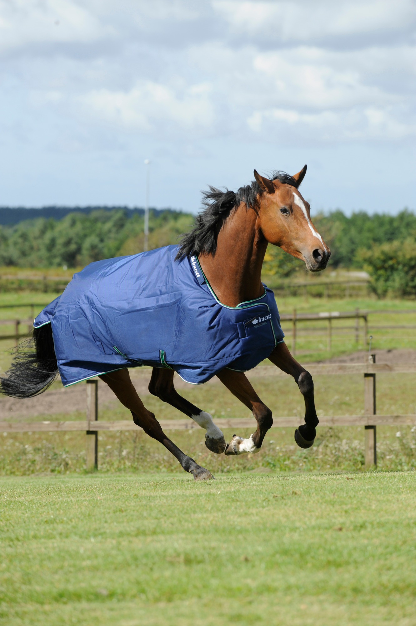 Bucas Smartex Medium Blauw