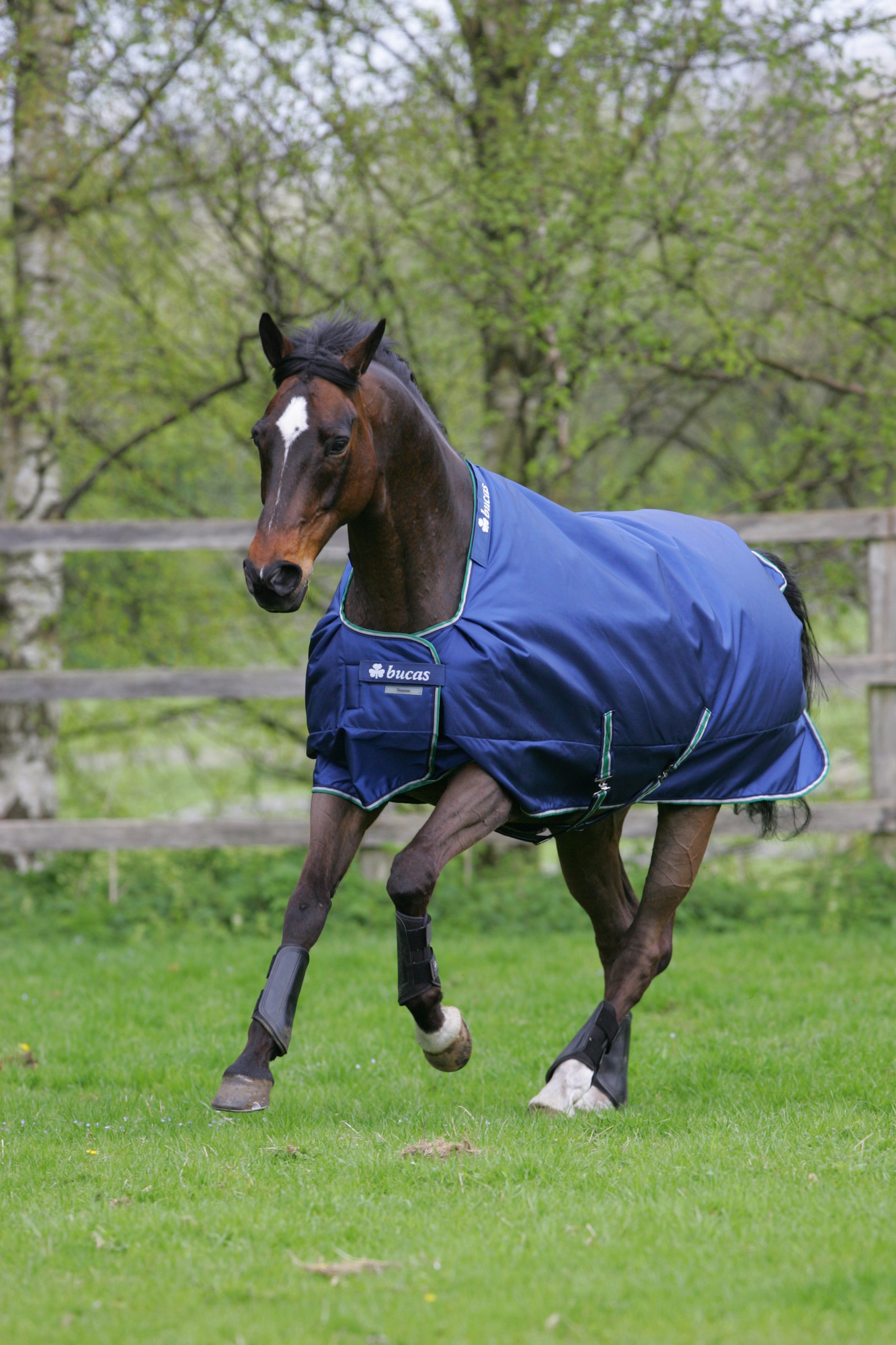 Bucas Smartex Rain Blauw