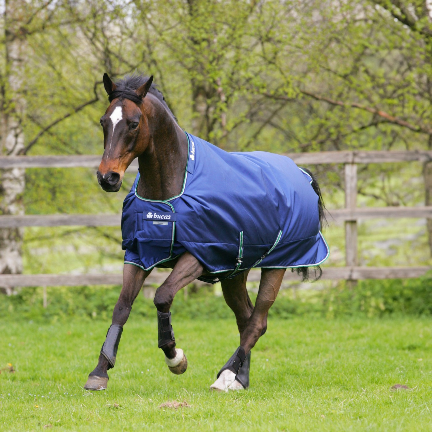 Bucas Smartex Medium Blauw