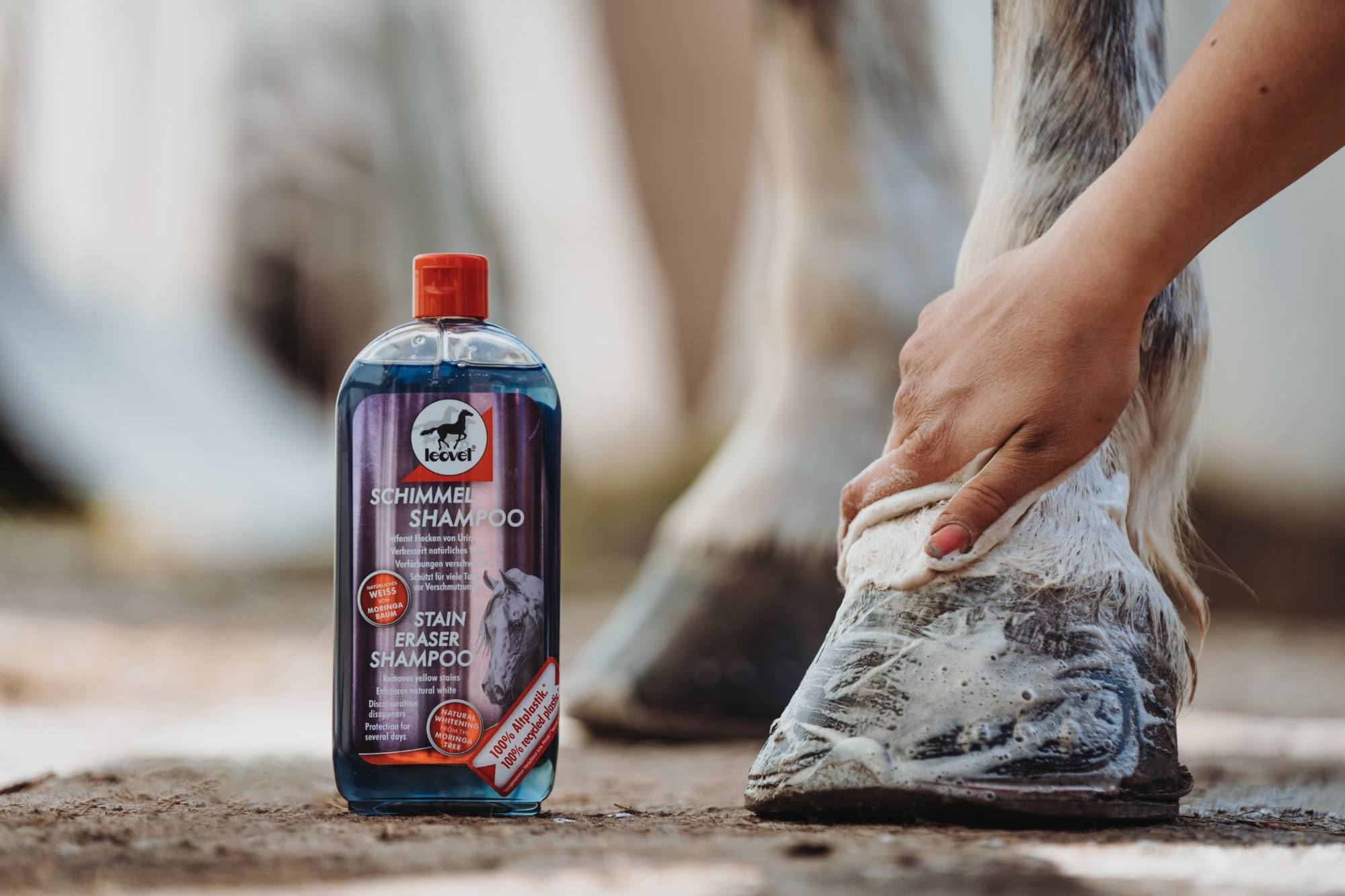 Leovet shiny white shampoo