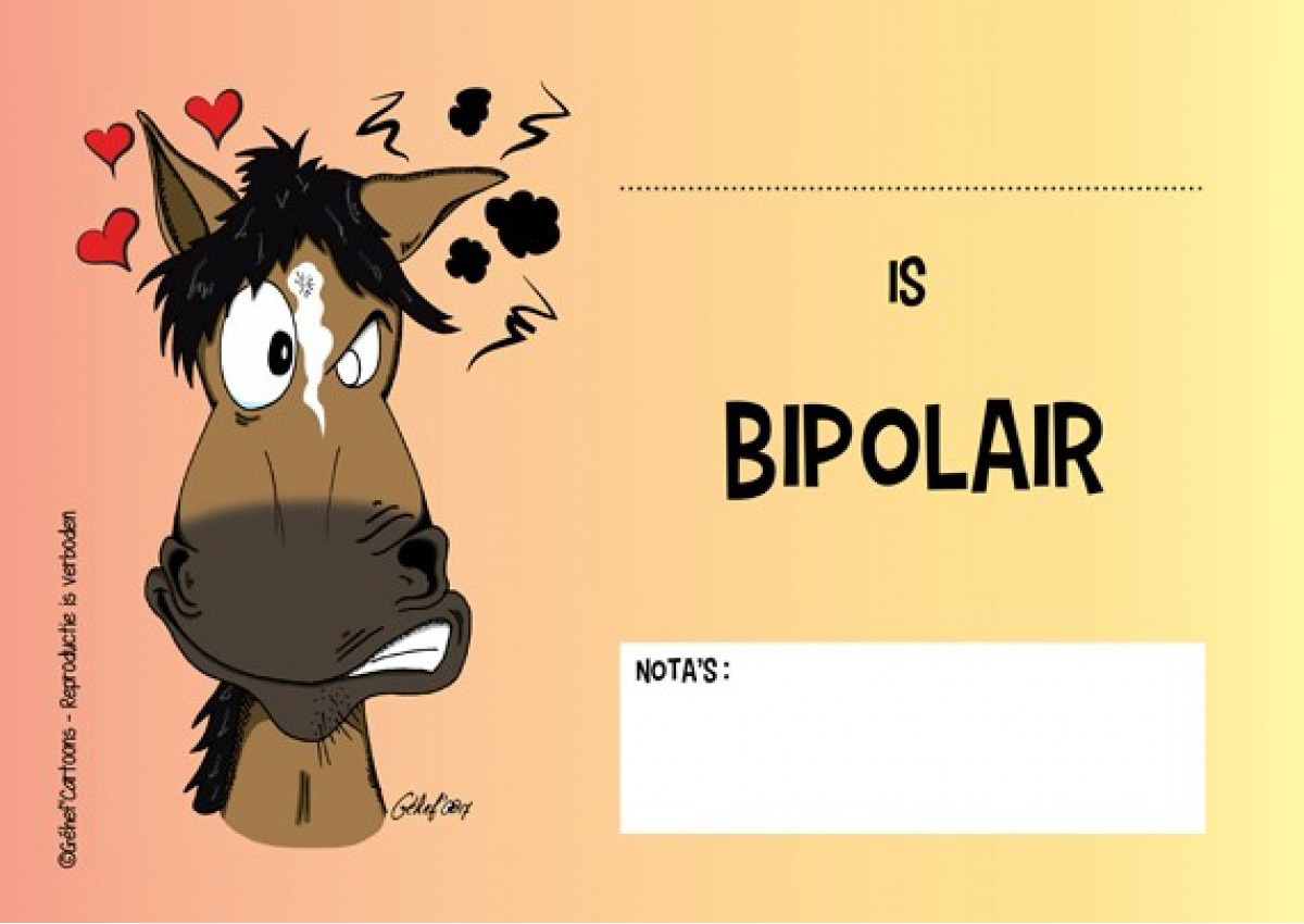HB Stalplaat Bipolair