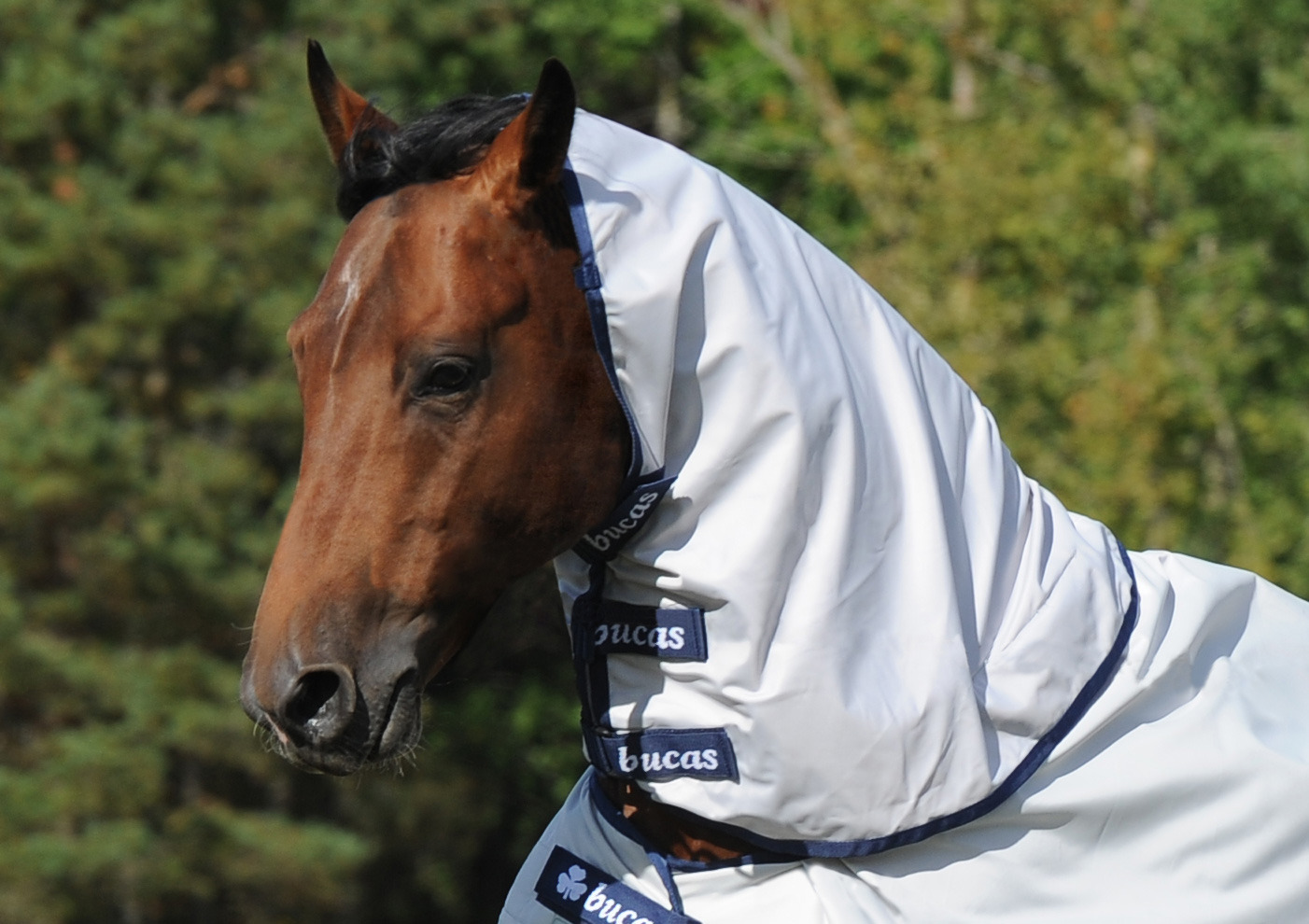 Bucas Sun Shower Combi Neck