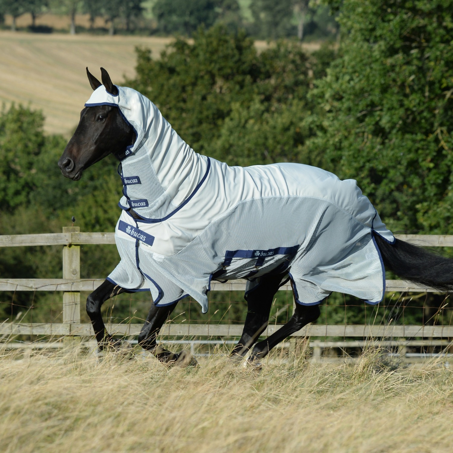 Bucas Sweet-itch X Light Big Neck