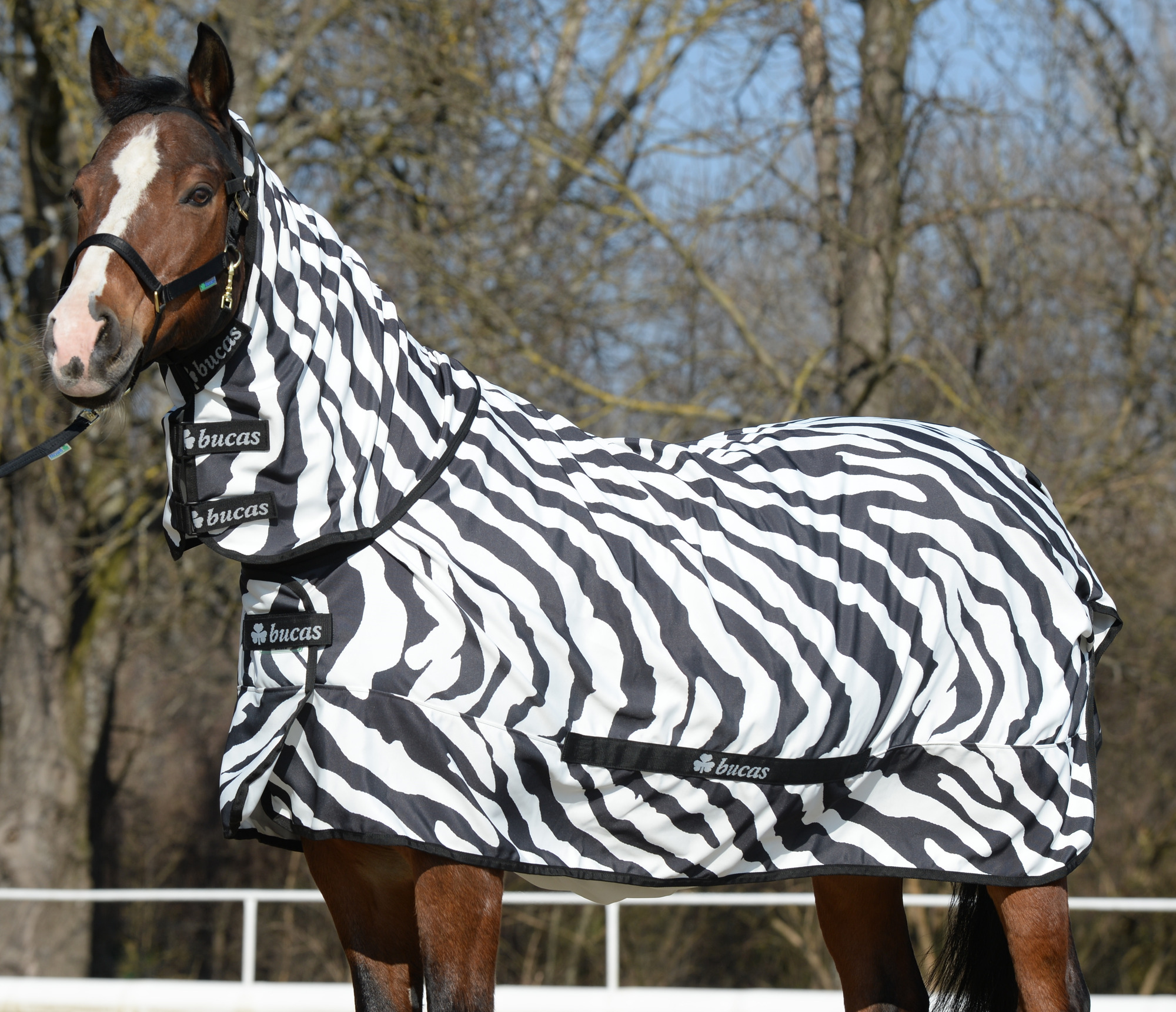 Bucas Sweet Itch Zebra Pony Eczeemdeken