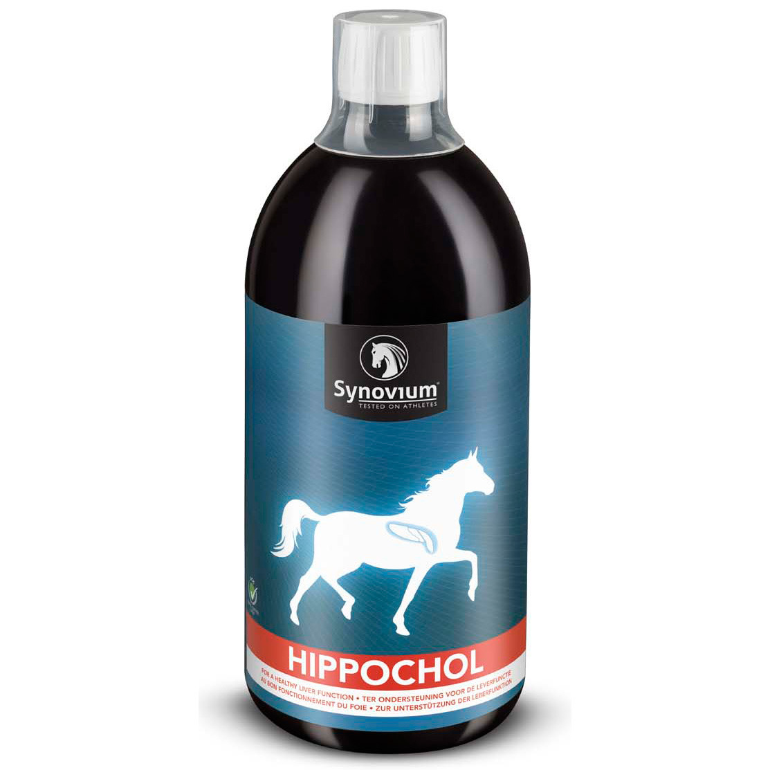 Synovium Hippochol