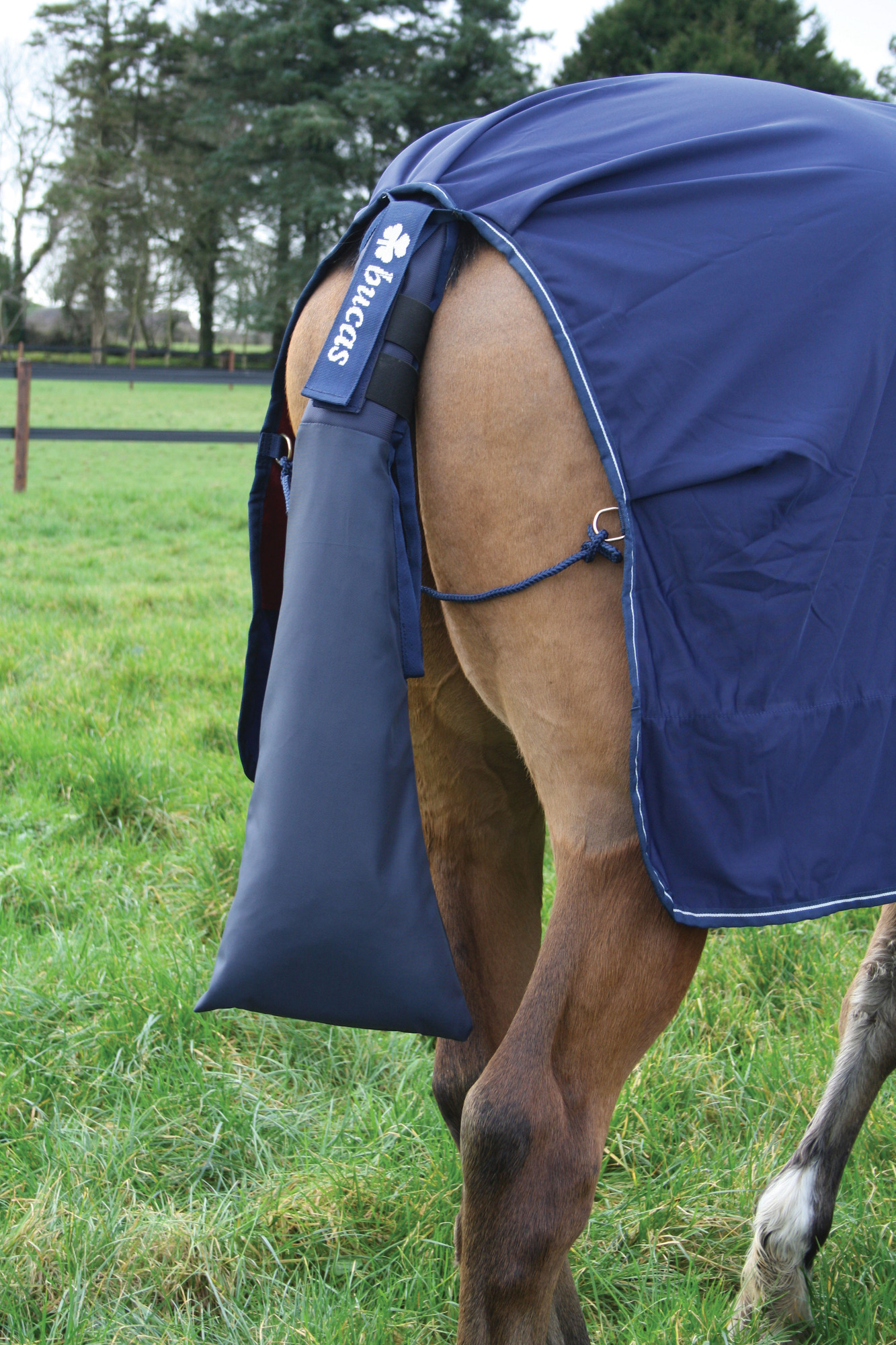 Bucas Tail Protector Blue