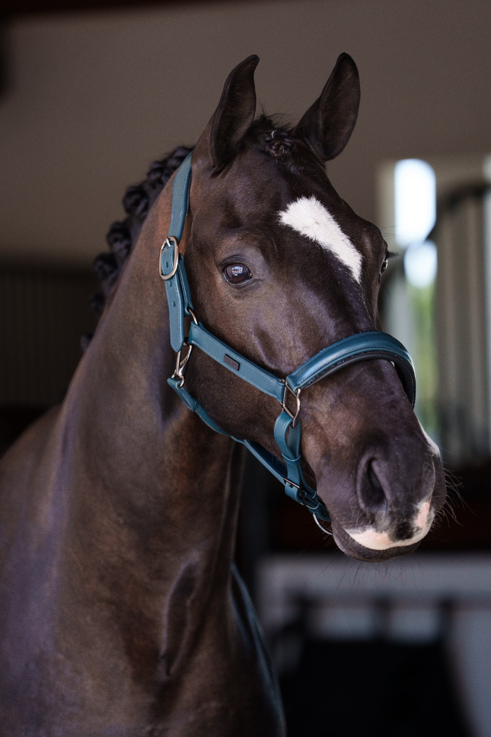 Equestrian Stockholm FW25 Teal Blue Glimmer Halter