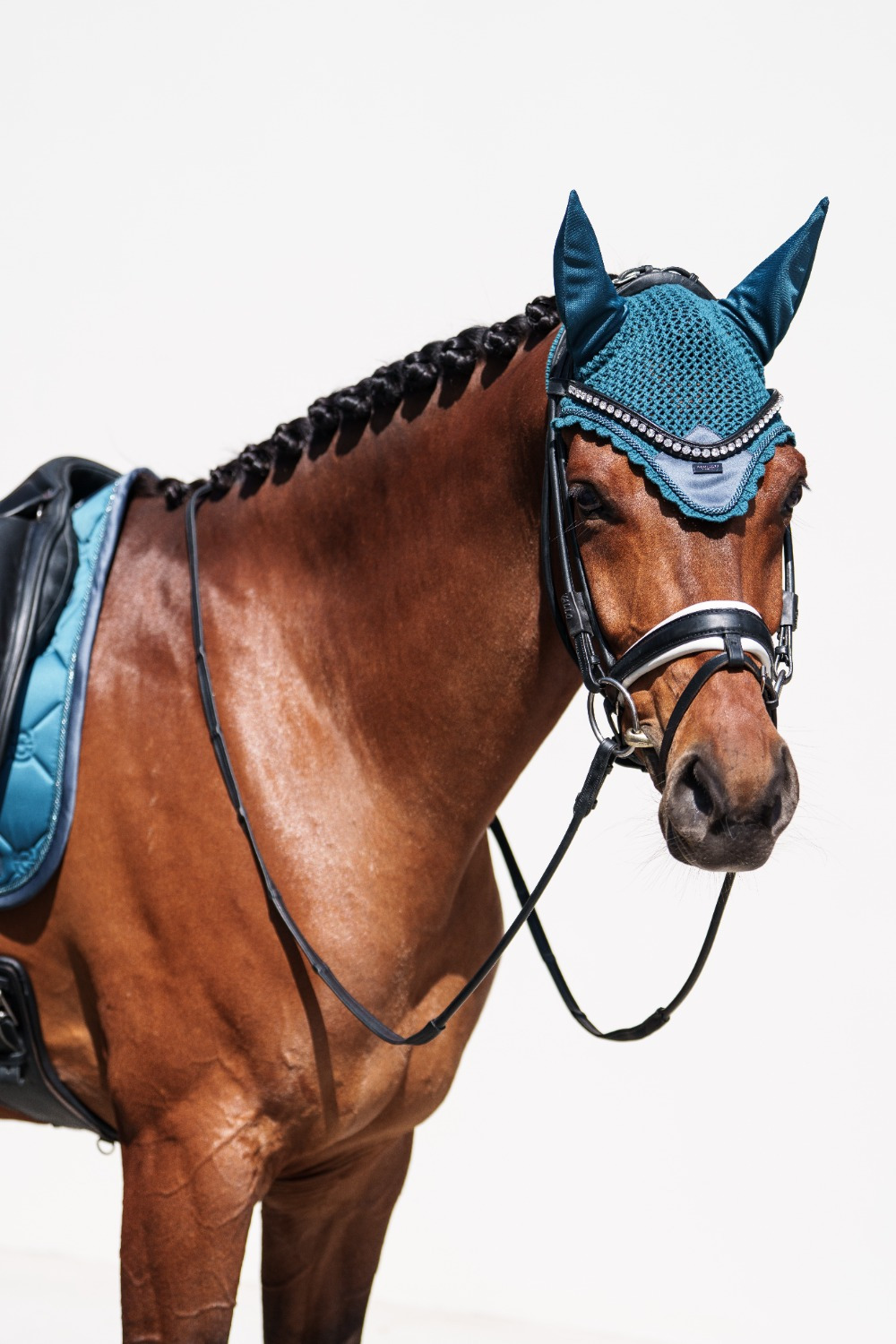Equestrian Stockholm FW25 Teal Blue Ear Net