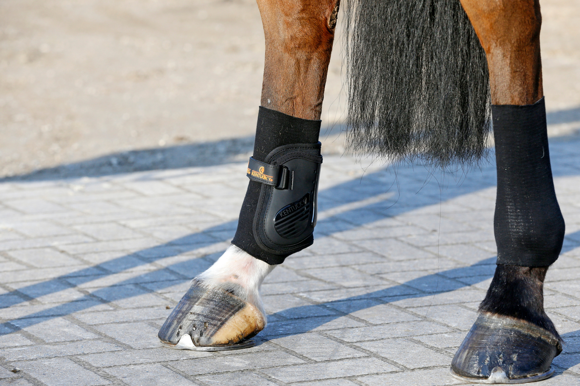 Kentucky Tendon Grip Gel Socke