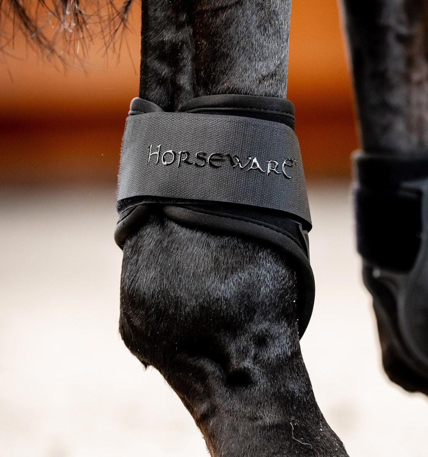 Horseware Classic Fesselkopfgamaschen