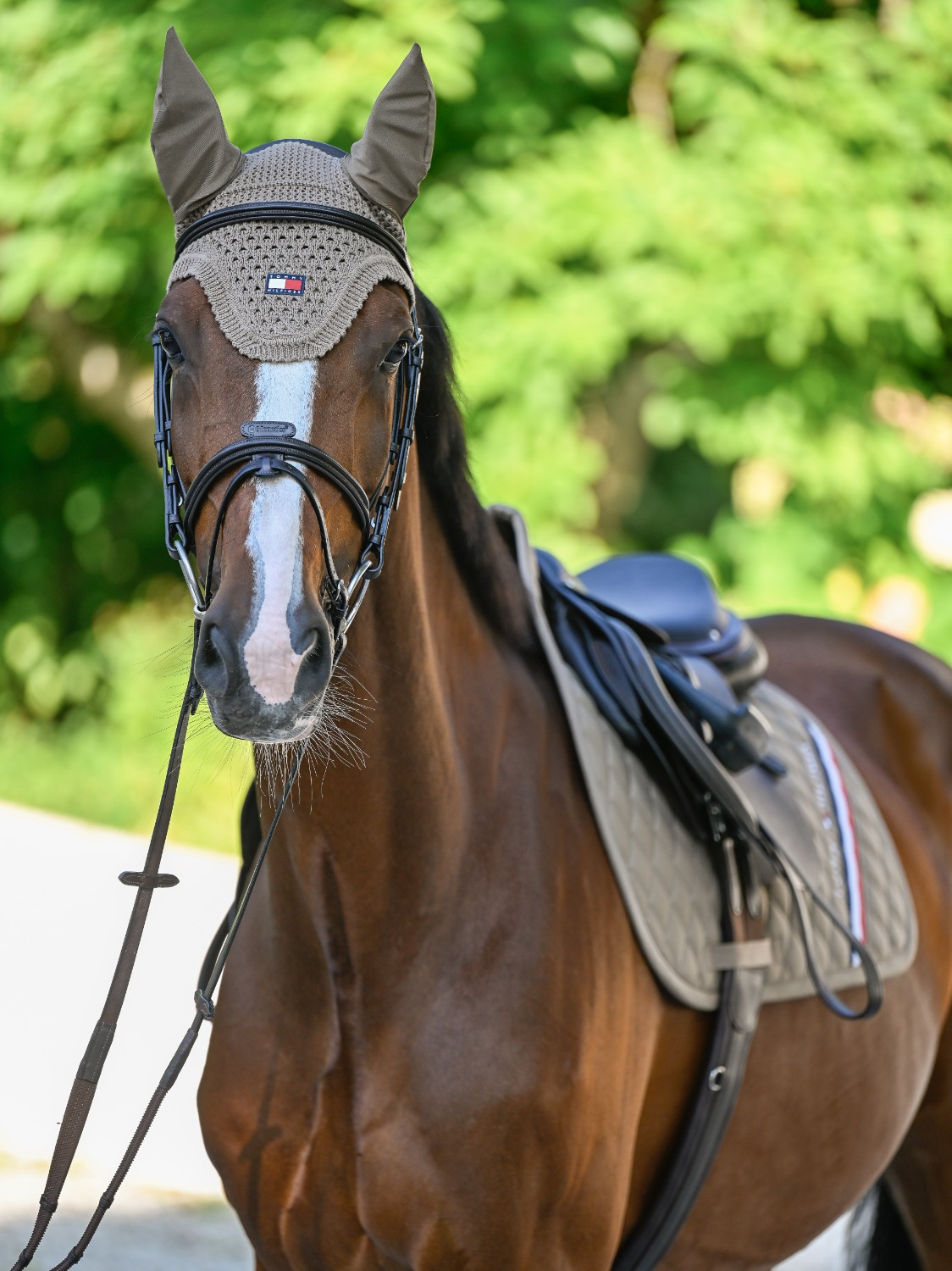 Tommy Hilfiger FW26 Ohrhaube Lexington