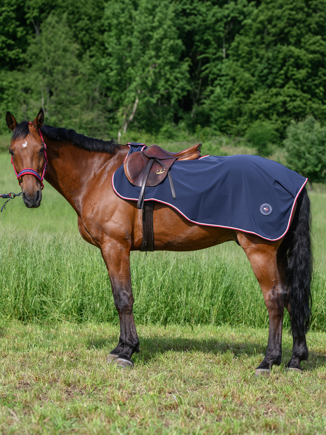 Tommy Hilfiger Ausreitdecke Wasserdicht Springfield