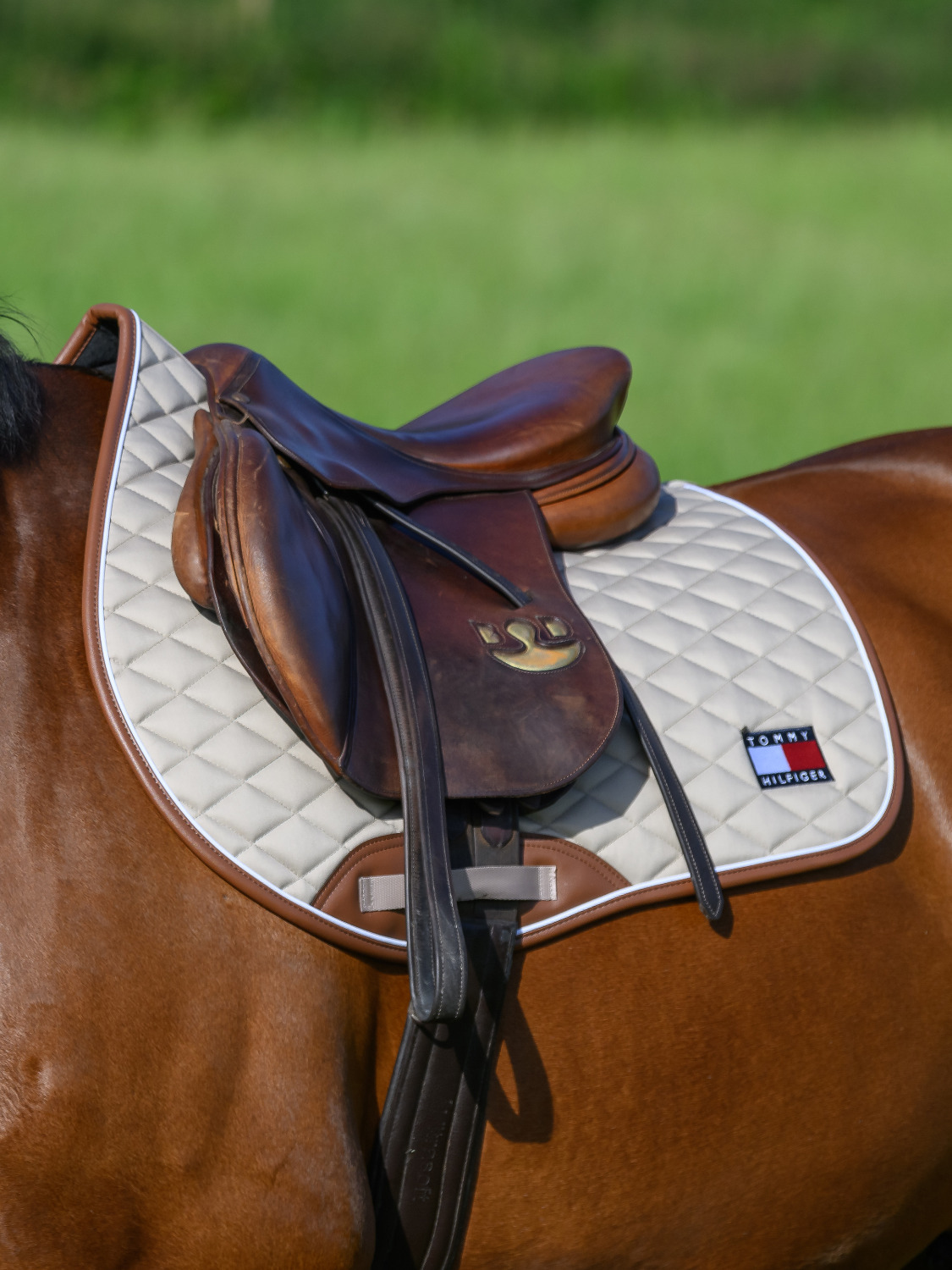 Tommy Hilfiger SS25 Princeton Jump Saddle Pad