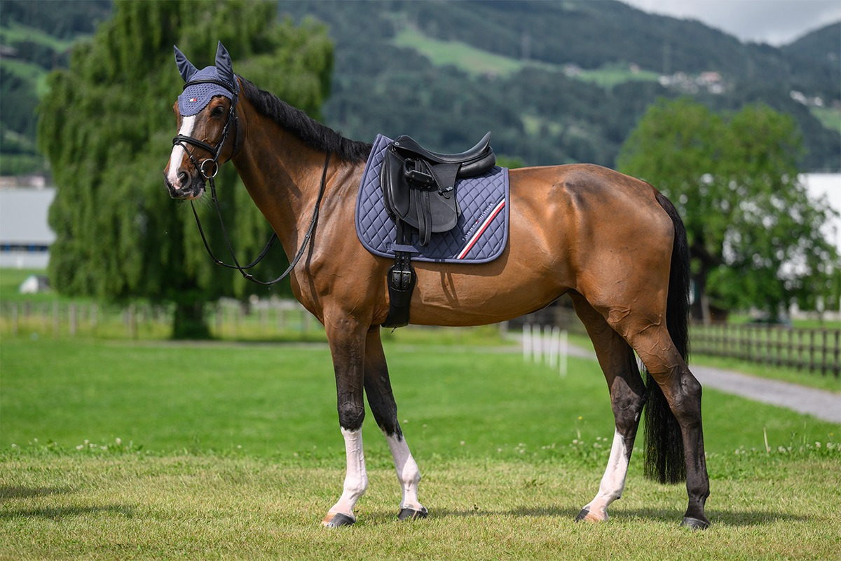 Tommy Hilfiger Stanford Dressage Saddle Pad
