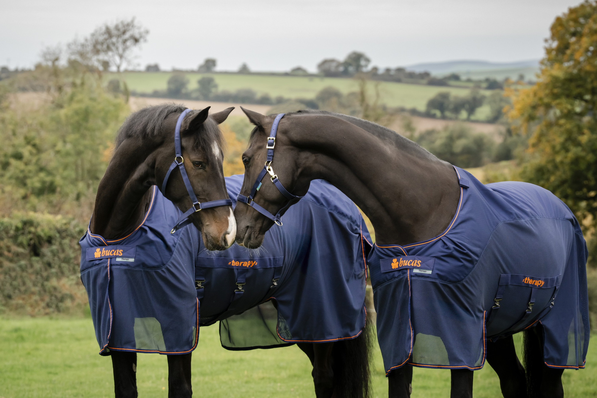 Bucas Therapy X-Range Rain & Neck