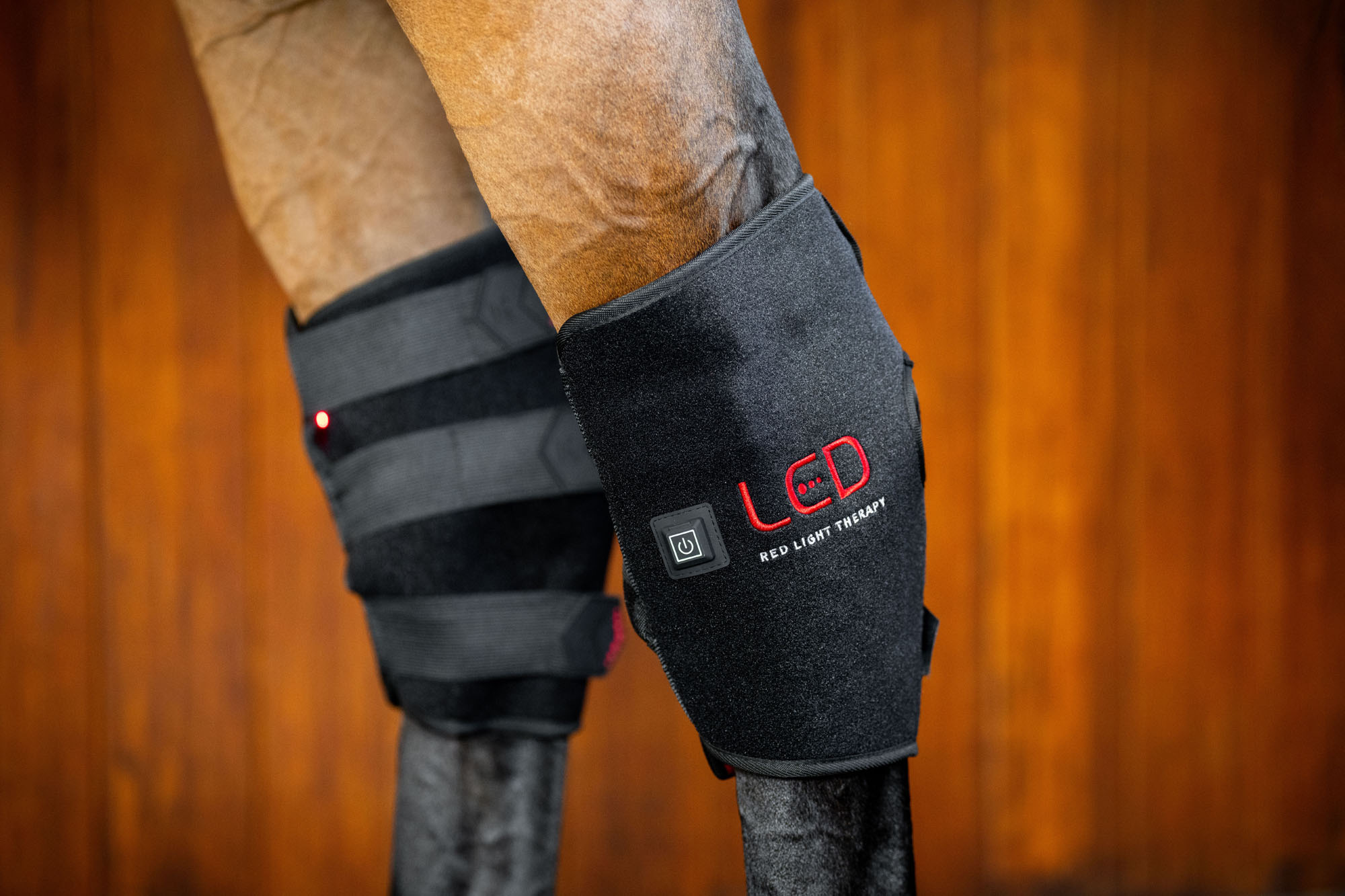 Horseware LED-Rotlichttherapie Sprunggamasche