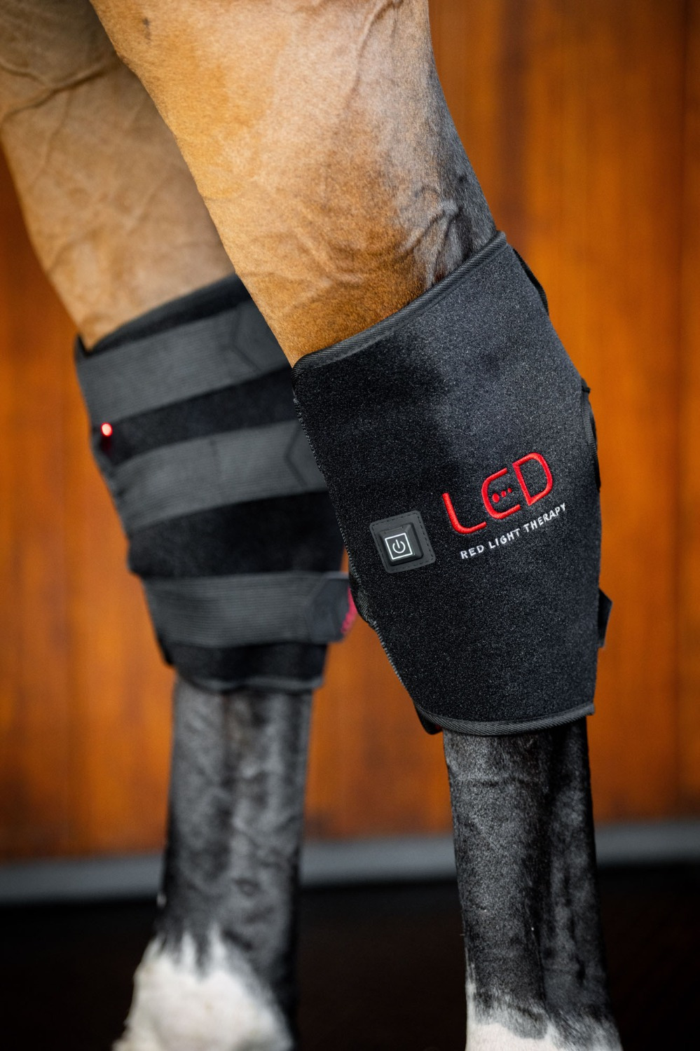 Horseware LED-Rotlichttherapie Sprunggamasche