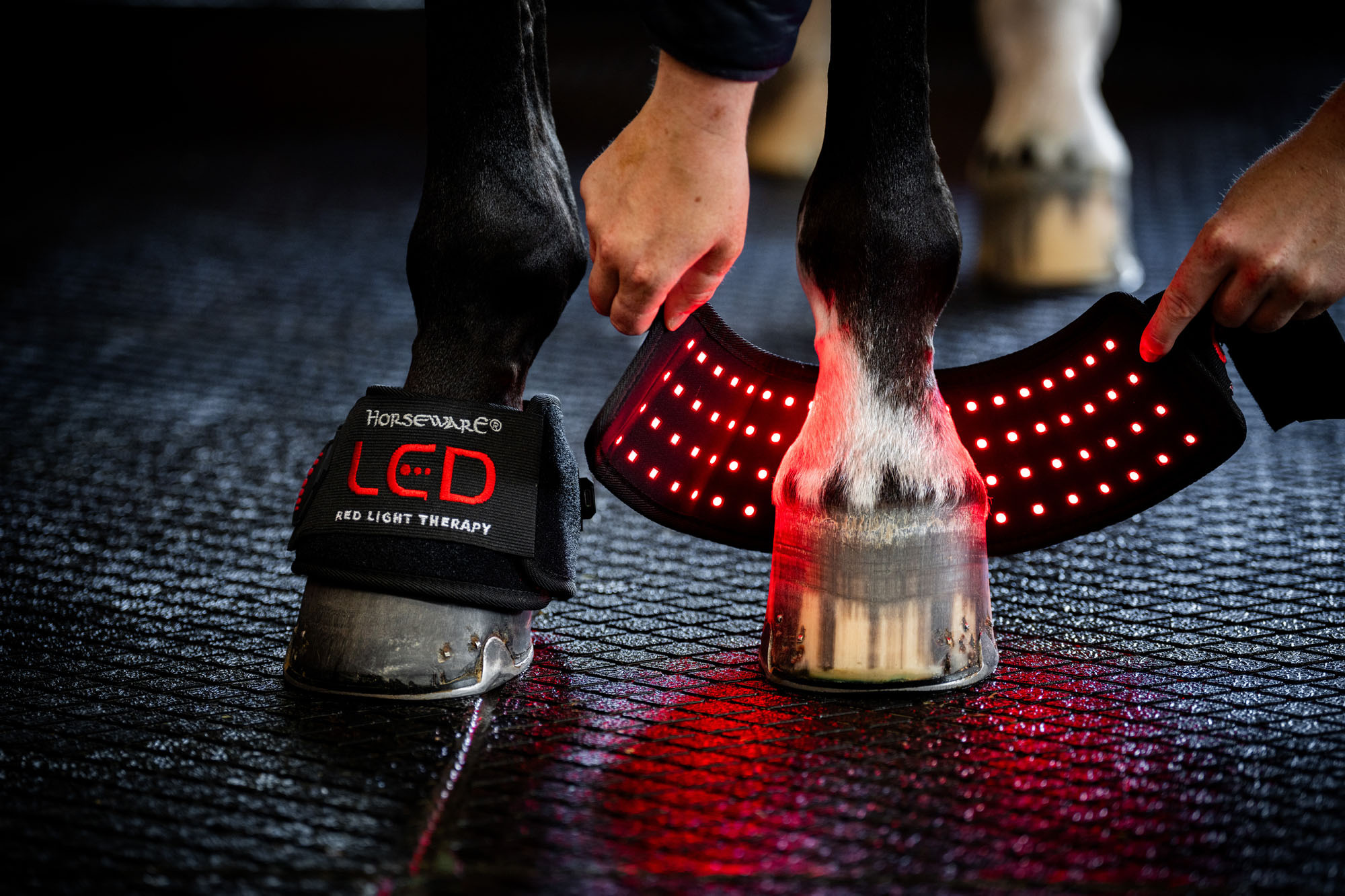 Horseware LED-Rotlicht-Therapie Mini-Wrap
