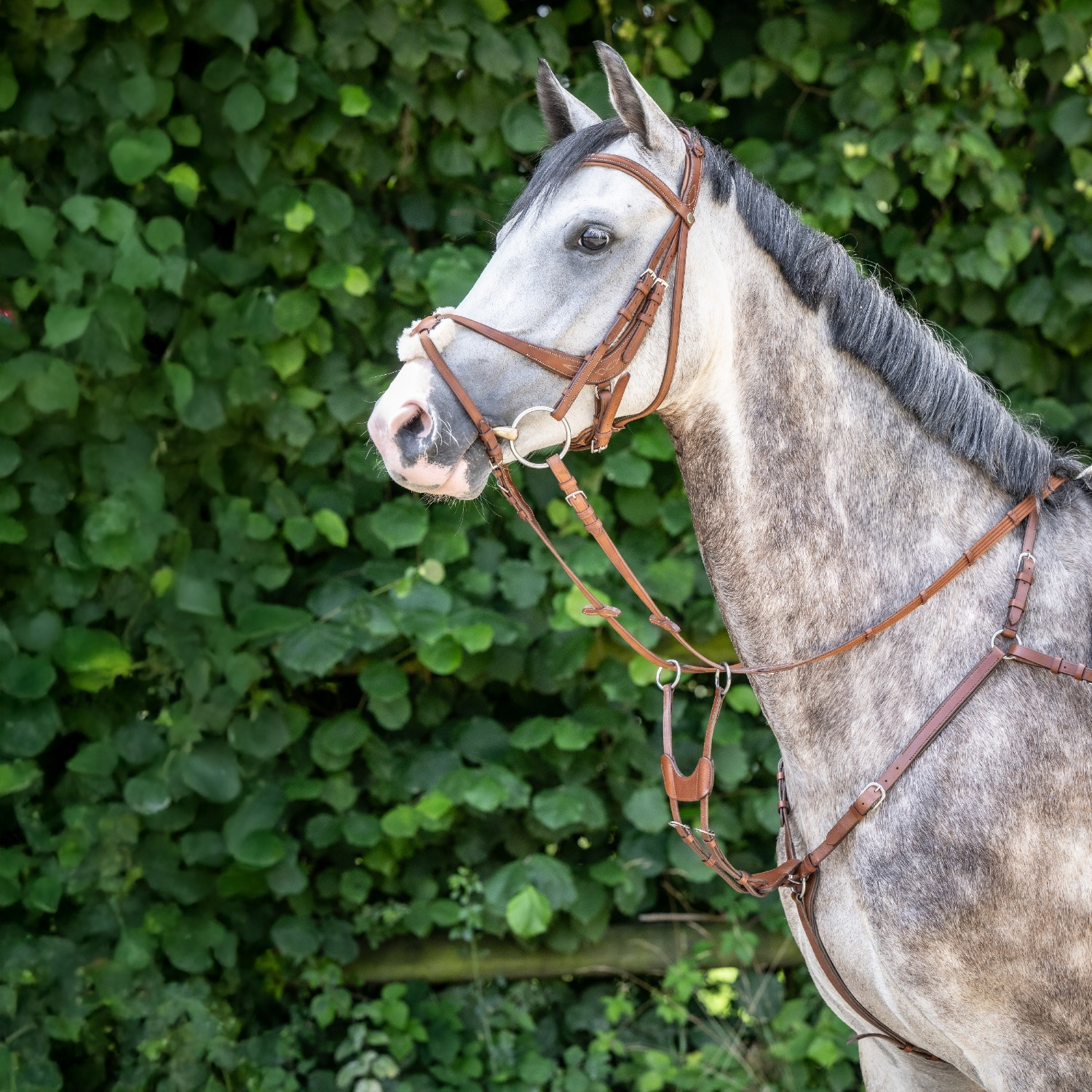 Busse Borsttuig Imola II