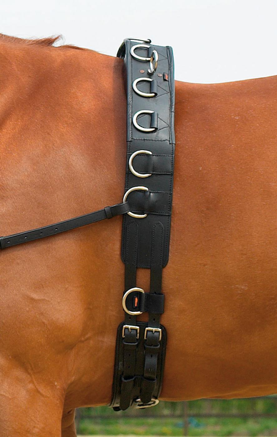 Busse Professional Leather Lunging Girth