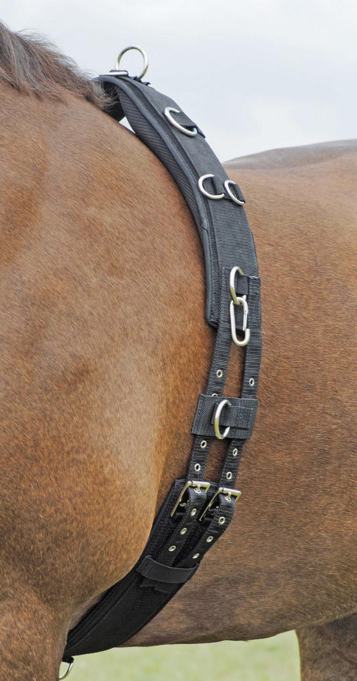 Busse Lunging Girth Profi-Soft
