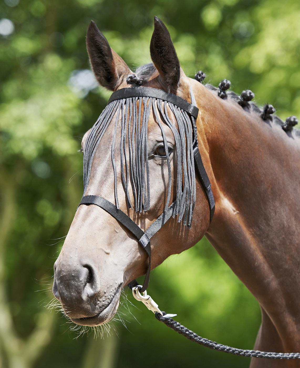 Busse weidehalster fransen