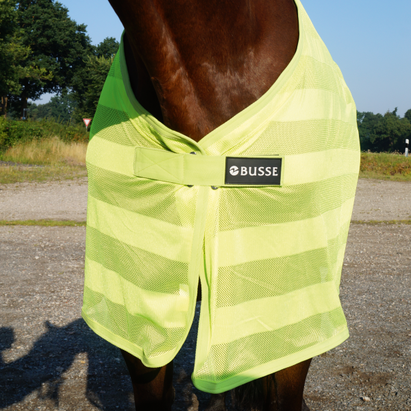 Busse Deken Reflectie