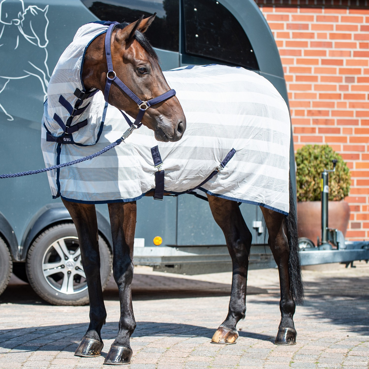 Busse Transport-vliegendeken Stripe Plus