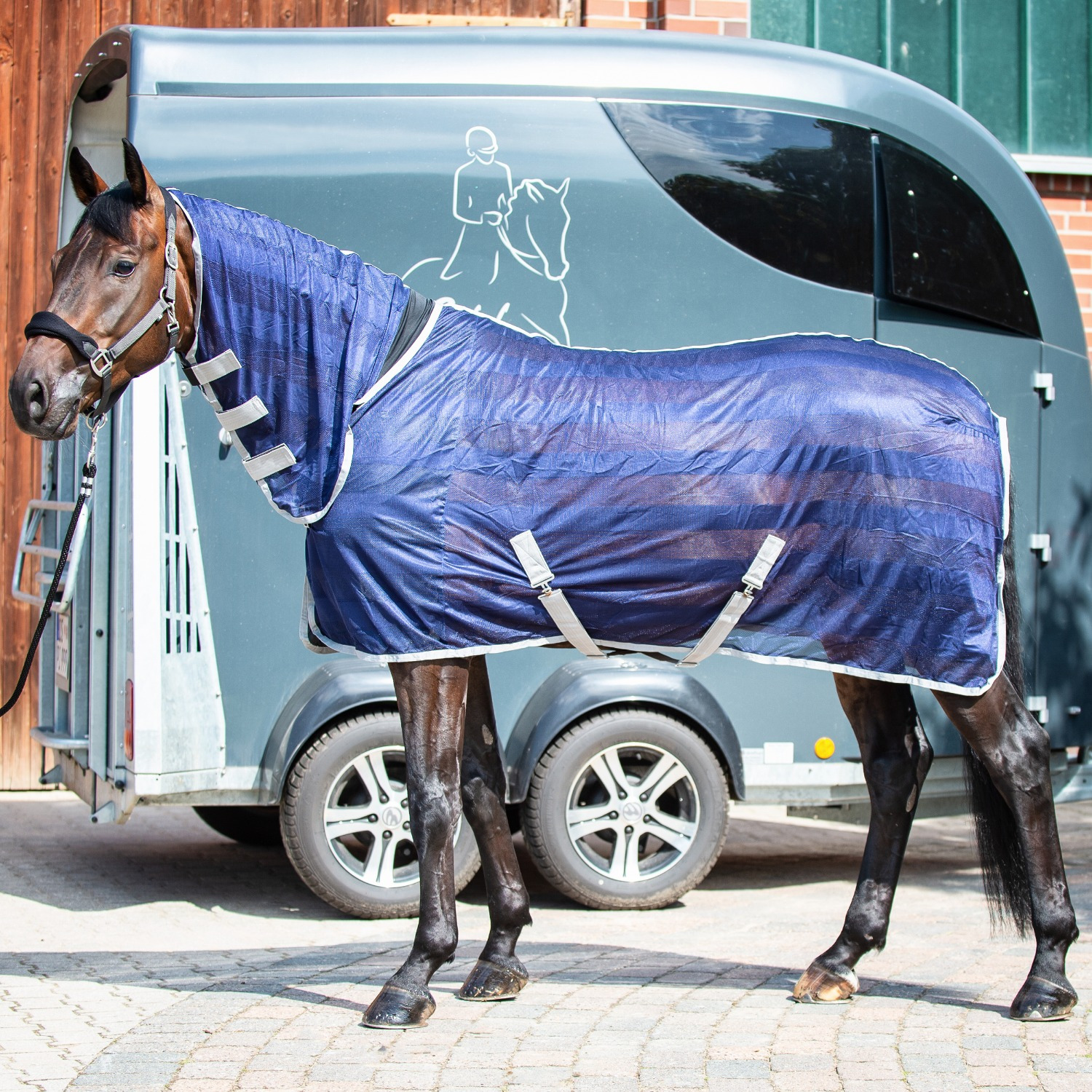 Busse Transport-vliegendeken Stripe Plus
