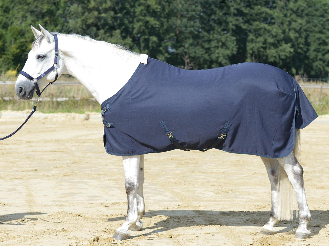 Busse Zomerdeken Early Season