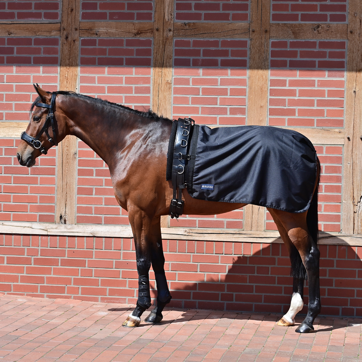 Busse Longeerdeken Rain 50