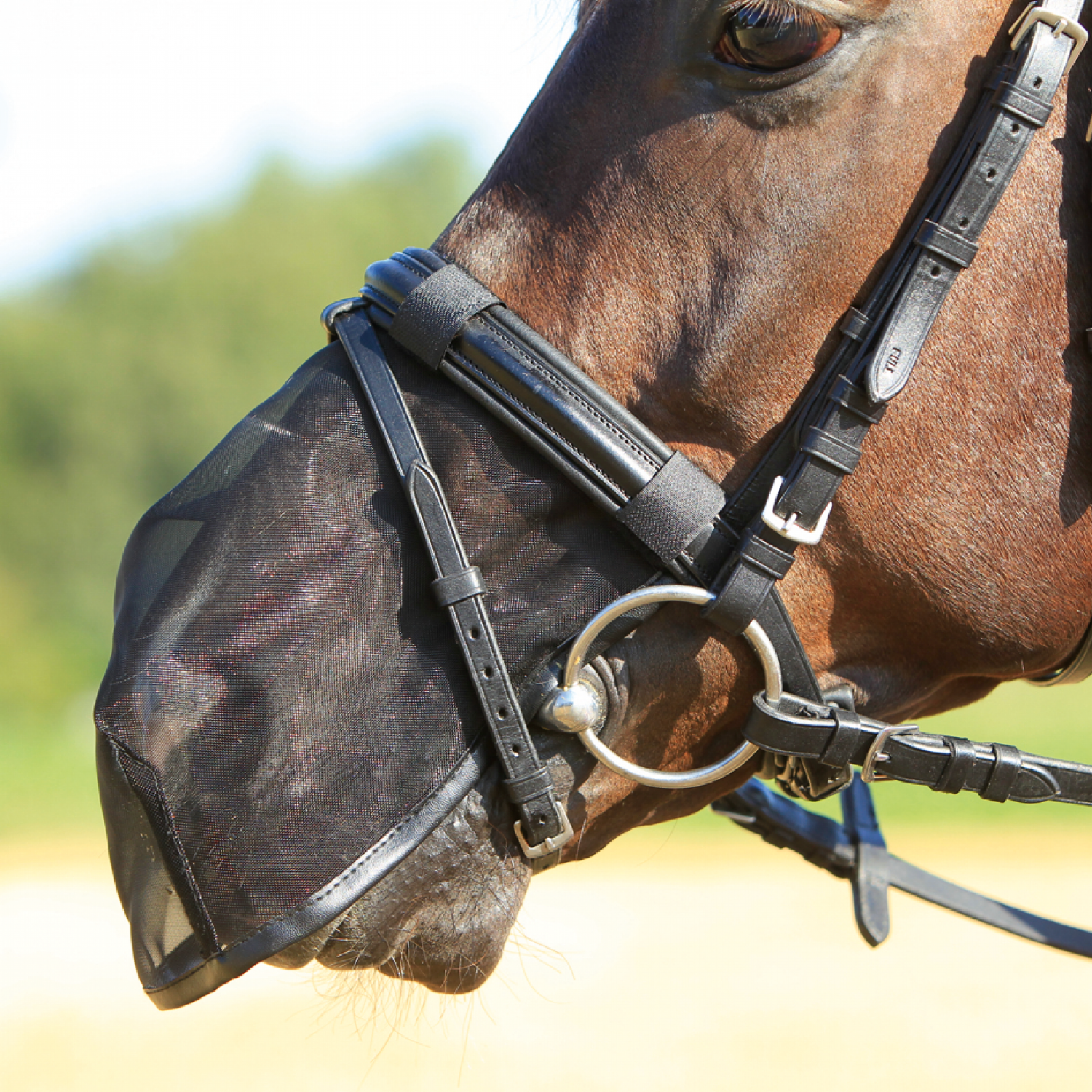 Busse Neusnetje Fly Protector