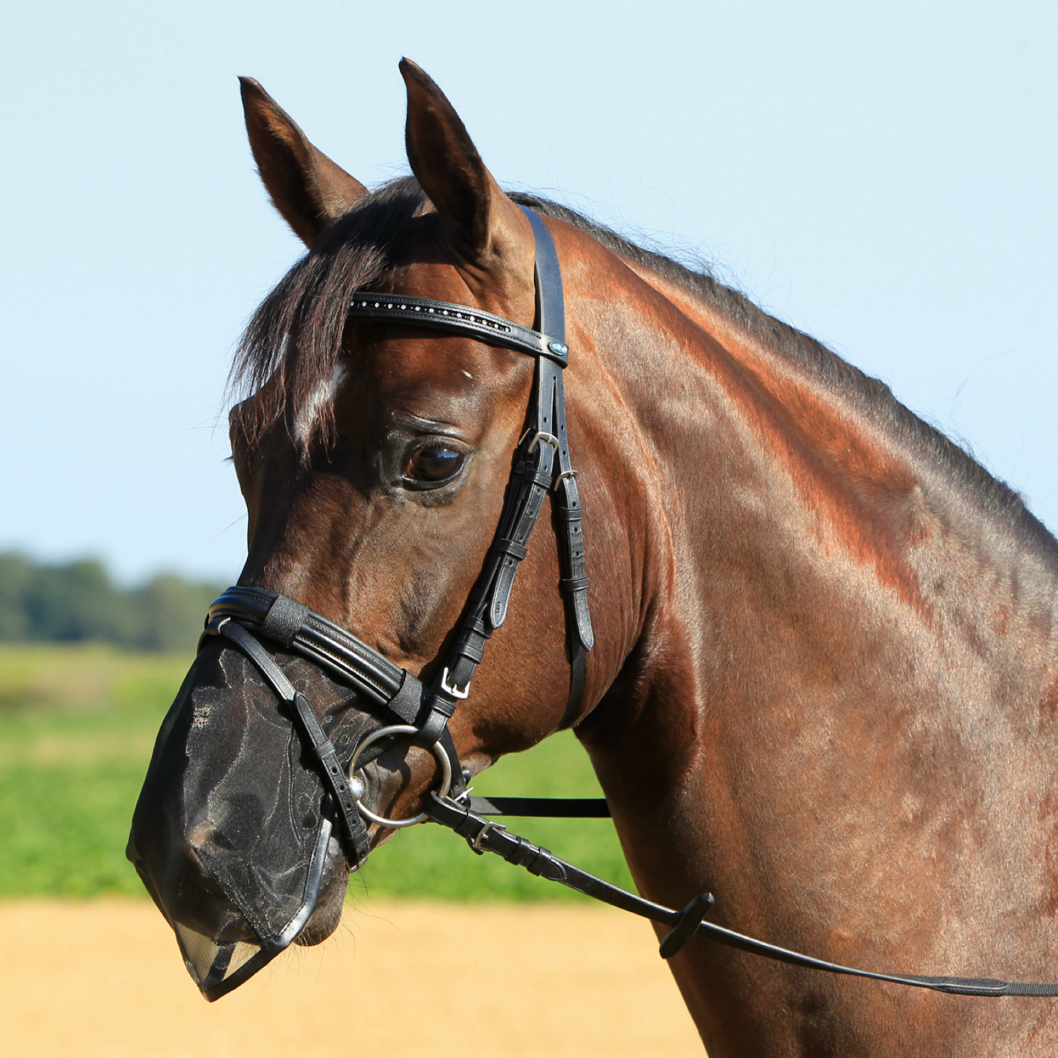 Busse Neusnetje Fly Protector